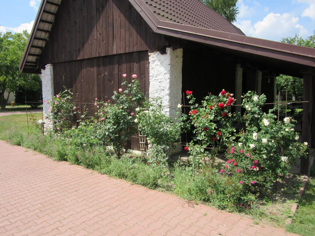Gospodarstwo Agroturystyczno-Edukacyjne Gratka Celiny  Exterior photo